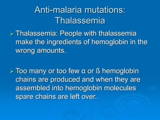 Anti-malaria mutations:
Thalassemia
 Thalassemia: People with thalassemia
make the ingredients of hemoglobin in the
wrong amounts.
 Too many or too few α or ß hemoglobin
chains are produced and when they are
assembled into hemoglobin molecules
spare chains are left over.
 