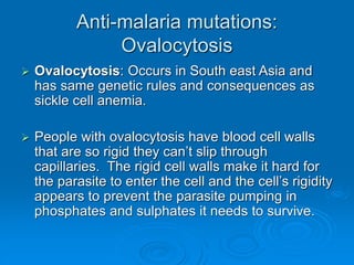 Anti-malaria mutations:
Ovalocytosis
 Ovalocytosis: Occurs in South east Asia and
has same genetic rules and consequences as
sickle cell anemia.
 People with ovalocytosis have blood cell walls
that are so rigid they can’t slip through
capillaries. The rigid cell walls make it hard for
the parasite to enter the cell and the cell’s rigidity
appears to prevent the parasite pumping in
phosphates and sulphates it needs to survive.
 