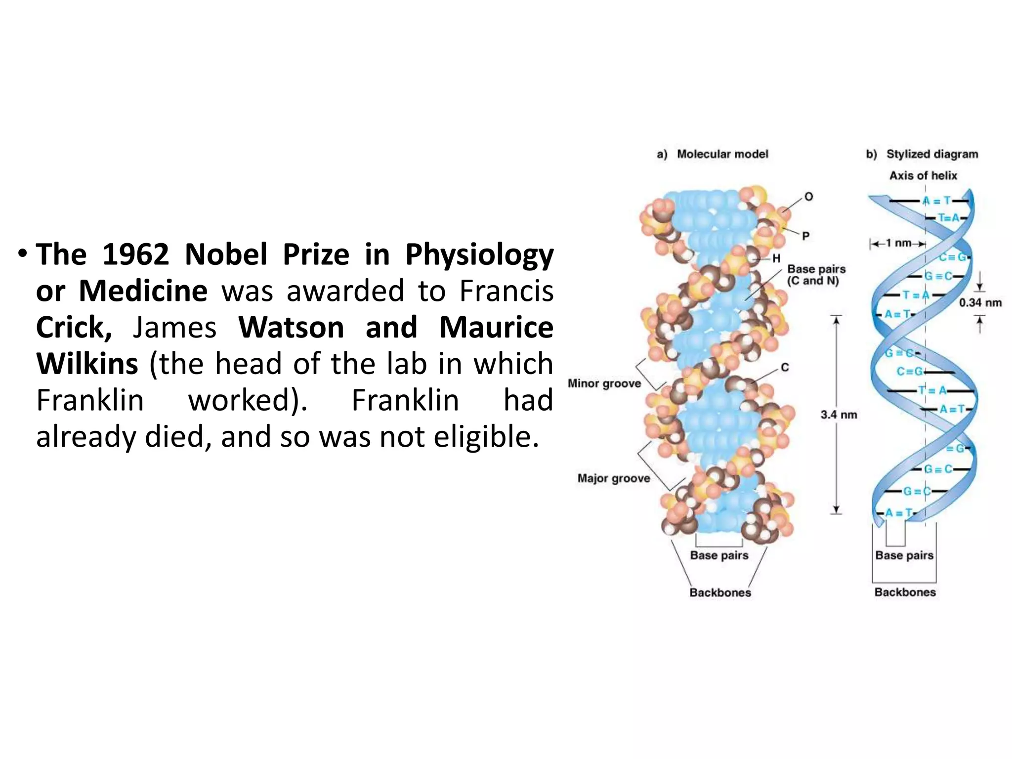• The 1962 Nobel Prize in Physiology
or Medicine was awarded to Francis
Crick, James Watson and Maurice
Wilkins (the head of the lab in which
Franklin worked). Franklin had
already died, and so was not eligible.
 