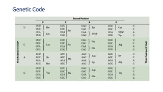 Genetic Code Microbe Notes Principles of microbial genetics | PPTX
