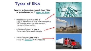 RNA as a genetic material | PPTX