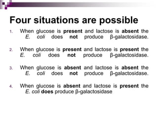 Four situations are possible
1. When glucose is present and lactose is absent the
E. coli does not produce β-galactosidase.
2. When glucose is present and lactose is present the
E. coli does not produce β-galactosidase.
3. When glucose is absent and lactose is absent the
E. coli does not produce β-galactosidase.
4. When glucose is absent and lactose is present the
E. coli does produce β-galactosidase
 
