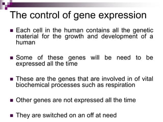 The control of gene expression
 Each cell in the human contains all the genetic
material for the growth and development of a
human
 Some of these genes will be need to be
expressed all the time
 These are the genes that are involved in of vital
biochemical processes such as respiration
 Other genes are not expressed all the time
 They are switched on an off at need
 