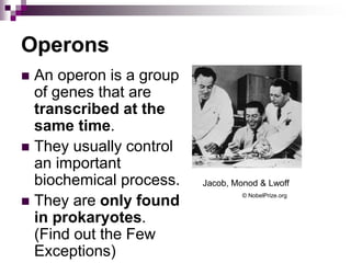 Operons
 An operon is a group
of genes that are
transcribed at the
same time.
 They usually control
an important
biochemical process.
 They are only found
in prokaryotes.
(Find out the Few
Exceptions)
© NobelPrize.org
Jacob, Monod & Lwoff
 