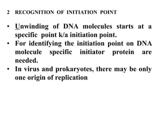 Point Initiating DNA replication | PPT
