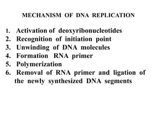 DNA replication | PPT