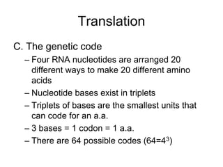 Translation | PPT