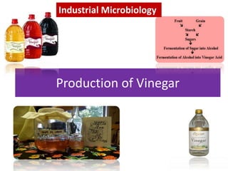 Production of Vinegar
Industrial Microbiology
 