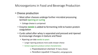 • Cheese production
• Most other cheeses undergo further microbial processing
termed ripening or curing
• Cottage cheese is unripened
• Enzyme rennin is added to fermenting milk to hasten protein
coagulation
• Curds salted after whey is separated and pressed and ripened
to encourage changes in texture and flavor
• Ripening can take weeks to years
• Longer ripening produces more acidic sharper cheese
• Certain organisms produce certain characteristics
» Propionibacterium shermanii  Swiss cheese
» Penicillium roquefortii  Roquefort, and gorgonzola
Microorganisms in Food and Beverage Production
 