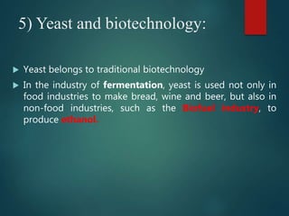 Importance of yeast