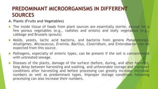 PREDOMINANT MICROORGANISMS IN DIFFERENT
SOURCES
A. Plants (Fruits and Vegetables)
 The inside tissue of foods from plant sources are essentially sterile, except for a
few porous vegetables (e.g., radishes and onions) and leafy vegetables (e.g.,
cabbage and Brussels sprouts)
 Molds, yeasts, lactic acid bacteria, and bacteria from genera Pseudomonas,
Alcaligenes, Micrococcus, Erwinia, Bacillus, Clostridium, and Enterobacter can be
expected from this source.
 Pathogens, especially of enteric types, can be present if the soil is contaminated
with untreated sewage.
 Diseases of the plants, damage of the surface (before, during, and after harvest),
long delay between harvesting and washing, and unfavorable storage and transport
conditions after harvesting and before processing can greatly increase microbial
numbers as well as predominant types. Improper storage conditions following
processing can also increase their numbers.
 