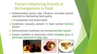 Factors Influencing Growth of
Microorganisms in Food
 Understanding factors that influence microbial growth
essential to maintaining food quality
 In production and preservation
 Conditions naturally present in food termed intrinsic
factors
 Environmental conditions are termed extrinsic factors
 Factors combine to determine which microbes grow in
particular food and at what rate
 