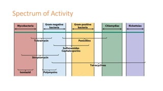 Spectrum of Activity
 