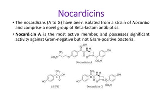 Nocardicins
• The nocardicins (A to G) have been isolated from a strain of Nocardia
and comprise a novel group of Beta-lactam antibiotics.
• Nocardicin A is the most active member, and possesses significant
activity against Gram-negative but not Gram-positive bacteria.
 