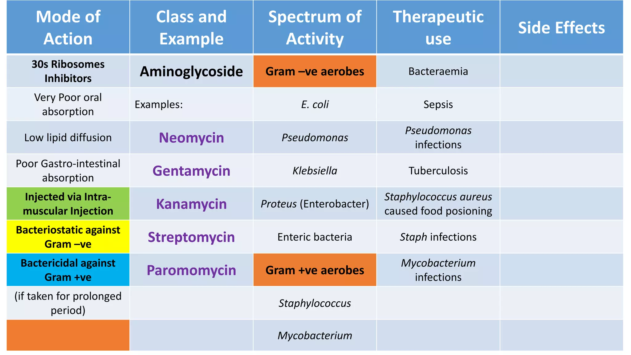 Mode of
Action
Class and
Example
Spectrum of
Activity
Therapeutic
use
Side Effects
30s Ribosomes
Inhibitors Aminoglycoside Gram –ve aerobes Bacteraemia
Very Poor oral
absorption
Examples: E. coli Sepsis
Low lipid diffusion Neomycin Pseudomonas
Pseudomonas
infections
Poor Gastro-intestinal
absorption Gentamycin Klebsiella Tuberculosis
Injected via Intra-
muscular Injection Kanamycin Proteus (Enterobacter)
Staphylococcus aureus
caused food posioning
Bacteriostatic against
Gram –ve Streptomycin Enteric bacteria Staph infections
Bactericidal against
Gram +ve Paromomycin Gram +ve aerobes
Mycobacterium
infections
(if taken for prolonged
period)
Staphylococcus
Mycobacterium
 