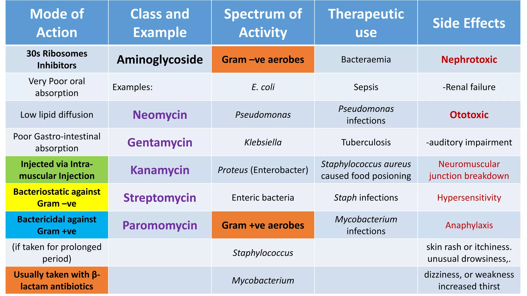 Mode of
Action
Class and
Example
Spectrum of
Activity
Therapeutic
use
Side Effects
30s Ribosomes
Inhibitors Aminoglycoside Gram –ve aerobes Bacteraemia Nephrotoxic
Very Poor oral
absorption
Examples: E. coli Sepsis -Renal failure
Low lipid diffusion Neomycin Pseudomonas
Pseudomonas
infections
Ototoxic
Poor Gastro-intestinal
absorption Gentamycin Klebsiella Tuberculosis -auditory impairment
Injected via Intra-
muscular Injection Kanamycin Proteus (Enterobacter)
Staphylococcus aureus
caused food posioning
Neuromuscular
junction breakdown
Bacteriostatic against
Gram –ve Streptomycin Enteric bacteria Staph infections Hypersensitivity
Bactericidal against
Gram +ve Paromomycin Gram +ve aerobes
Mycobacterium
infections
Anaphylaxis
(if taken for prolonged
period)
Staphylococcus
skin rash or itchiness.
unusual drowsiness,.
Usually taken with β-
lactam antibiotics
Mycobacterium
dizziness, or weakness
increased thirst
 