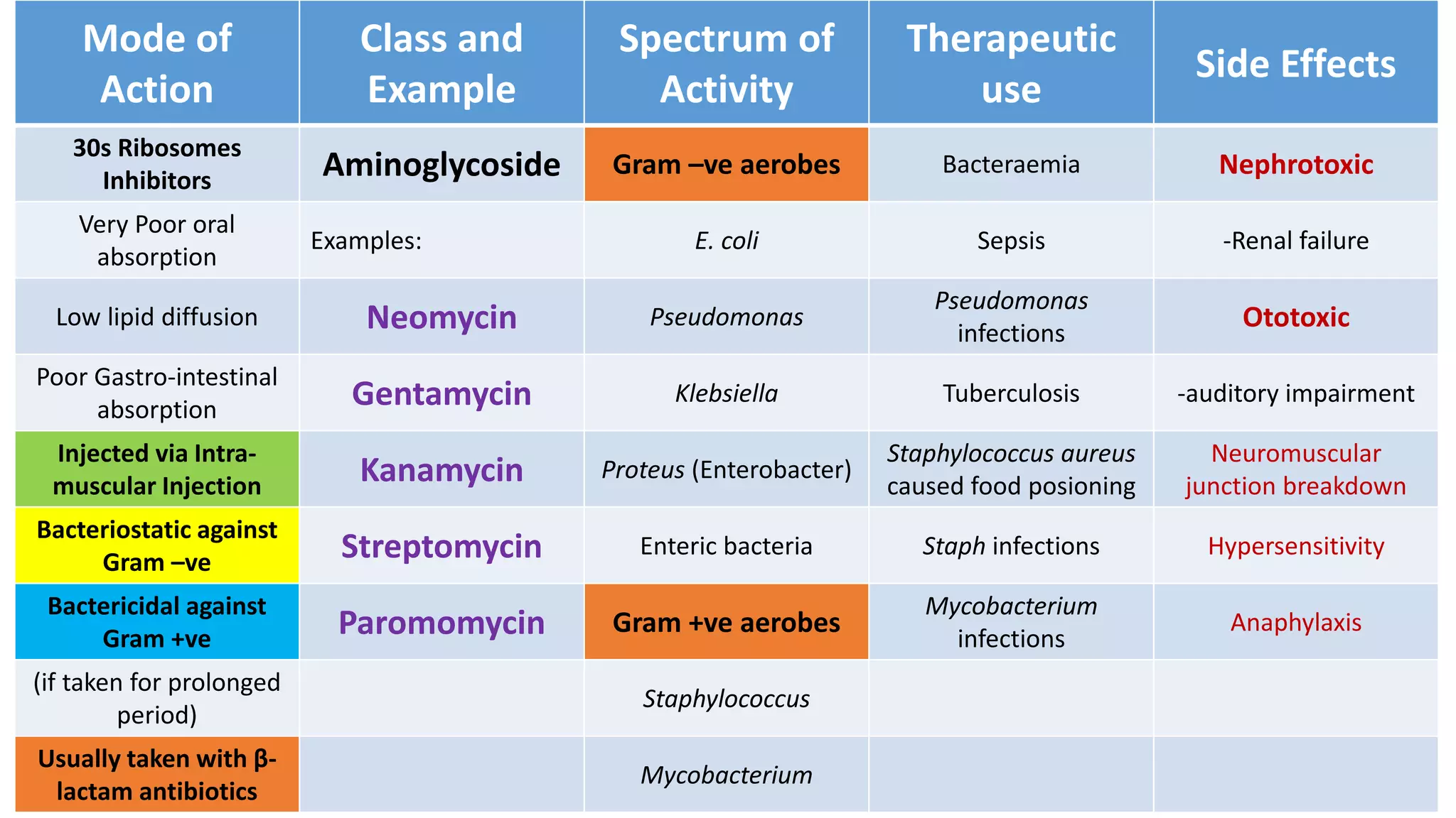 Mode of
Action
Class and
Example
Spectrum of
Activity
Therapeutic
use
Side Effects
30s Ribosomes
Inhibitors Aminoglycoside Gram –ve aerobes Bacteraemia Nephrotoxic
Very Poor oral
absorption
Examples: E. coli Sepsis -Renal failure
Low lipid diffusion Neomycin Pseudomonas
Pseudomonas
infections
Ototoxic
Poor Gastro-intestinal
absorption Gentamycin Klebsiella Tuberculosis -auditory impairment
Injected via Intra-
muscular Injection Kanamycin Proteus (Enterobacter)
Staphylococcus aureus
caused food posioning
Neuromuscular
junction breakdown
Bacteriostatic against
Gram –ve Streptomycin Enteric bacteria Staph infections Hypersensitivity
Bactericidal against
Gram +ve Paromomycin Gram +ve aerobes
Mycobacterium
infections
Anaphylaxis
(if taken for prolonged
period)
Staphylococcus
Usually taken with β-
lactam antibiotics
Mycobacterium
 