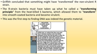 • Griffith concluded that something might have ‘transformed’ the non-virulent R
strain.
• The R-strain bacteria must have taken up what he called a "transforming
principle" from the heat-killed S bacteria, which allowed them to "transform"
into smooth-coated bacteria and become virulent.
• This was the first step to finding DNA was indeed the genetic material.
 