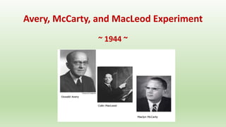 Avery, McCarty, and MacLeod Experiment
~ 1944 ~
 