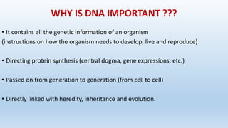 WHY IS DNA IMPORTANT ???
• It contains all the genetic information of an organism
(instructions on how the organism needs to develop, live and reproduce)
• Directing protein synthesis (central dogma, gene expressions, etc.)
• Passed on from generation to generation (from cell to cell)
• Directly linked with heredity, inheritance and evolution.
 