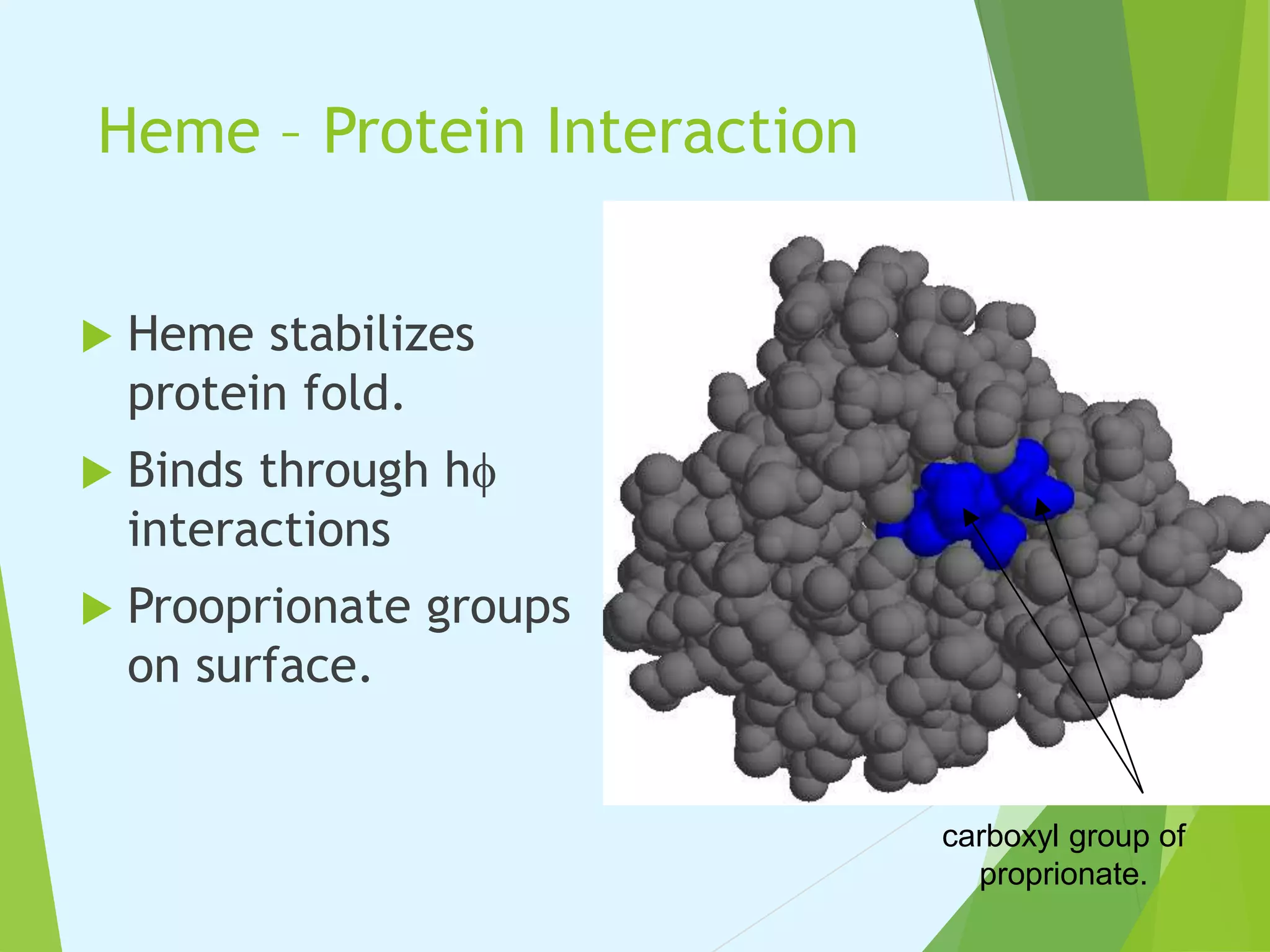 Myoglobin and Hemoglobin | PPT