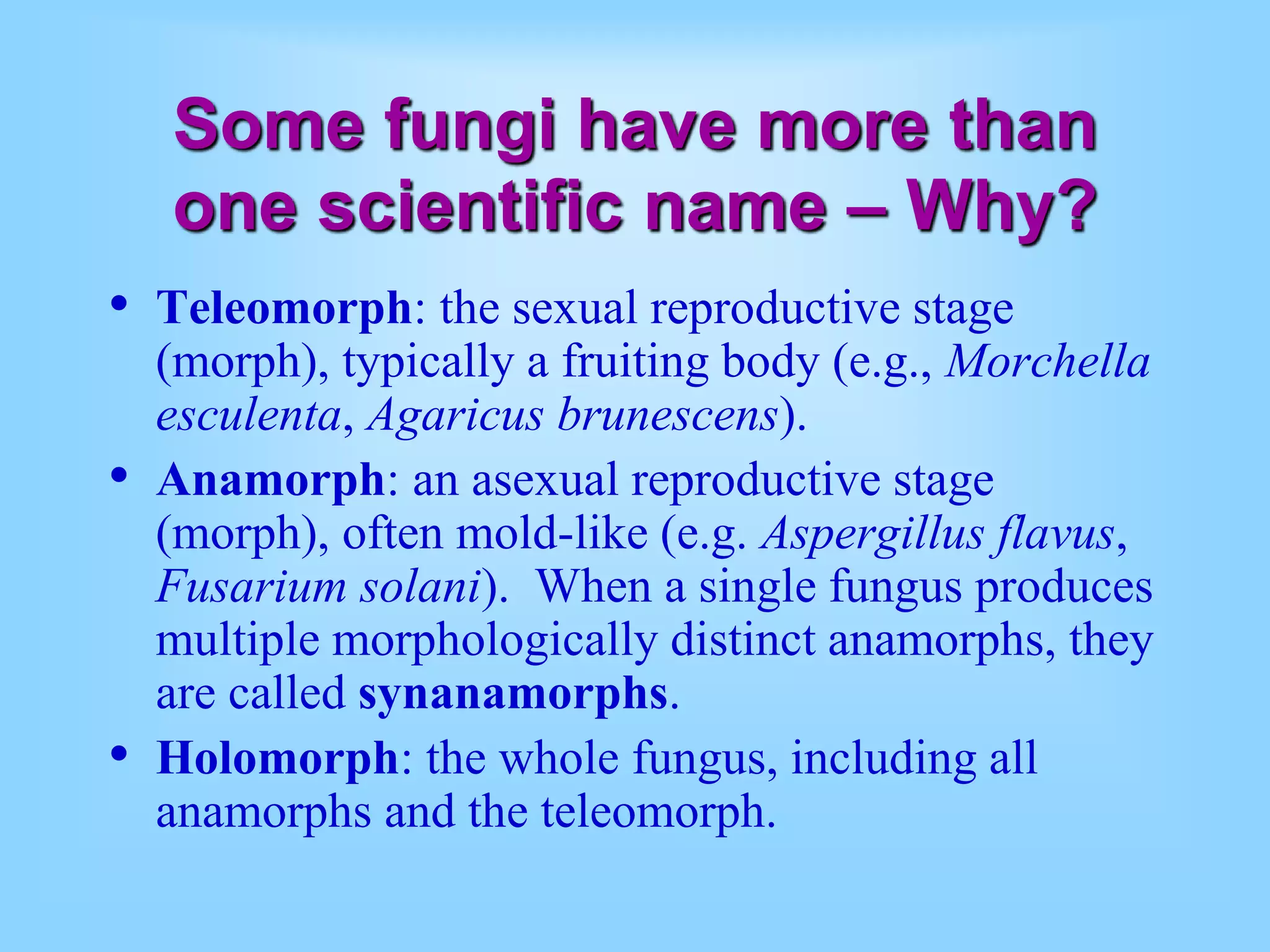 Some fungi have more than
one scientific name – Why?
• Teleomorph: the sexual reproductive stage
(morph), typically a fruiting body (e.g., Morchella
esculenta, Agaricus brunescens).
• Anamorph: an asexual reproductive stage
(morph), often mold-like (e.g. Aspergillus flavus,
Fusarium solani). When a single fungus produces
multiple morphologically distinct anamorphs, they
are called synanamorphs.
• Holomorph: the whole fungus, including all
anamorphs and the teleomorph.
 