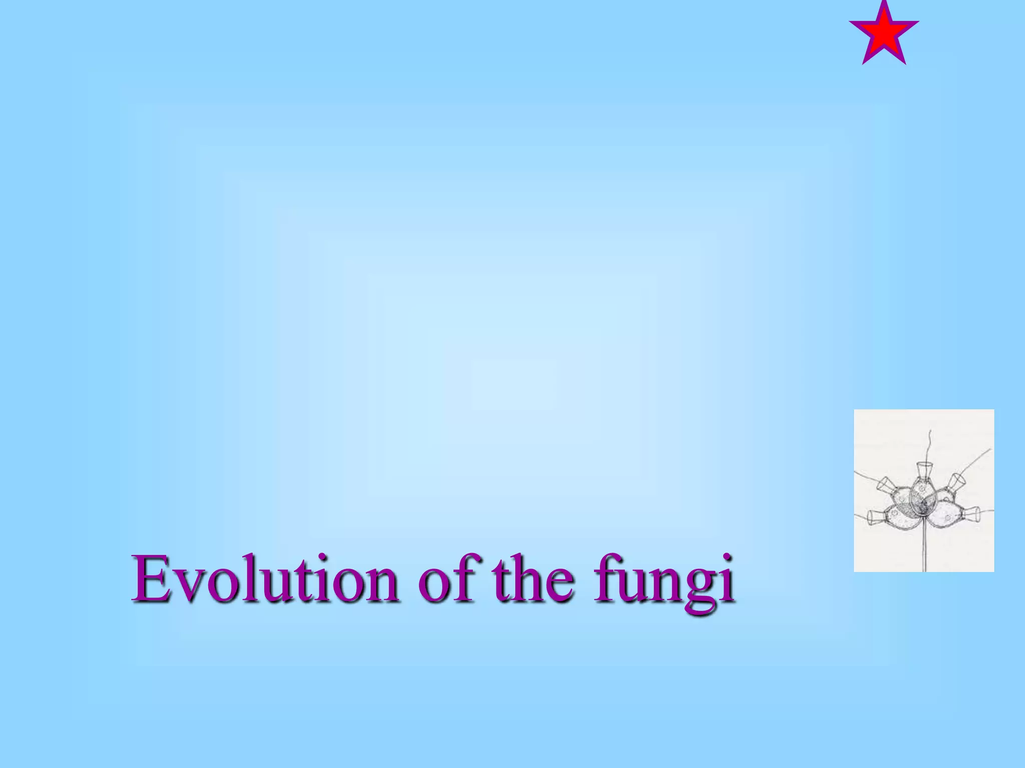 Evolution of the fungi
 