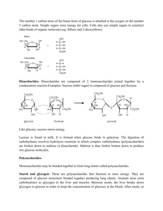 The number 1 carbon atom of the linear form of glucose is attached to the oxygen on the number
5 carbon atom. Simple sugars store energy for cells. Cells also use simple sugars to construct
other kinds of organic molecules.(eg. Ribose and 2-deoxyribose).
Disaccharides- Disaccharides are composed of 2 monosaccharides joined together by a
condensation reaction.Examples: Sucrose (table sugar) is composed of glucose and fructose.
Like glucose, sucrose stores energy.
Lactose is found in milk. It is formed when glucose binds to galactose. The digestion of
carbohydrates involves hydrolysis reactions in which complex carbohydrates (polysaccharides)
are broken down to maltose (a disaccharide). Maltose is then further broken down to produce
two glucose molecules.
Polysaccharides-
Monosaccharides may be bonded together to form long chains called polysaccharides.
Starch and glycogen- These are polysaccharides that function to store energy. They are
composed of glucose monomers bonded together producing long chains. Animals store extra
carbohydrates as glycogen in the liver and muscles. Between meals, the liver breaks down
glycogen to glucose in order to keep the concentration of glucoses in the blood. After meals, as
 