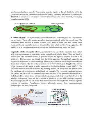 also have another layer- capsule. This envelop gives the rigidity to the cell. Inside the cell is the
cytoplasmic region that contains the cell genome (DNA), ribosomes and various cell inclusions.
The DNA is condensed to a nucleiod. There are circular structures called plasmids, which carry
extrachromosomal DNA.
2. Eukaryotic cells: Eukaryotic word is derived from Greek- eu means good and karyon means
nut or kernel. These cells contain complex structures enclosed within the membranes. The
membrane bound nucleus is present in these cells. Most of these cells also contain other
membrane bound organelles such as mitochondria, chloroplast and the Golgi apparatus. All
species of large complex organisms are eukaryotes, including animals, plants and fungi.
Organelles of the eukaryotic cells: 1.Lysosomes: These are cellular organelles that contain
acid hydrolase enzymes to break down waste materials and cellular debris. They are found in
animal cells. The membrane around a lysosome allows the digestive enzymes to work at the
acidic pH. The lysosomes are formed from the Golgi apparatus. The aged cell organelles are
degraded in a lysosome is called autophagy. They are also called as suicide-bags or suicide-sacs
due to their autolysis. The size of the lysosomes varies from 0.1 to 1.2µm. The pH of the interior
of the lysosomes is 4.8 and it is acidic compared to the slightly alkaline cytosol (pH 7.2). The
lysosome maintains this pH differential by pumping protons (H+
ions) from the cytosol across
the membrane via proton pumps and chloride ion channels. The lysosomal membrane protects
the cytosol, and rest of the cell, from the degradative enzymes of the lysosome. If lysosomal acid
hydrolases of lysosomes leaked into cytosol , these enzymes fails to produce their effects in the
alkaline environment. Some of the examples of digestion by the acid hydrolase enzymes.-
Nuclease degrade RNA and DNA into their mononucleotides building blocks. Protease degrades
proteins to peptides. Phosphatases remove phosphate groups from mononucleotides,
phospholipids and other compounds.
 