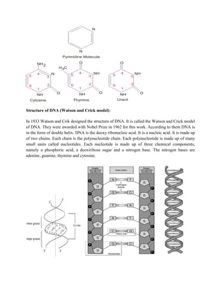 Structure of DNA (Watson and Crick model):
In 1933 Watson and Crik designed the structure of DNA. It is called the Watson and Crick model
of DNA. They were awarded with Nobel Prize in 1962 for this work. According to them DNA is
in the form of double helix. DNA is the deoxy ribonucleic acid. It is a nucleic acid. It is made up
of two chains. Each chain is the polynucleotide chain. Each polynucleotide is made up of many
small units called nucleotides. Each nucleotide is made up of three chemical components,
namely a phosphoric acid, a deoxiribose sugar and a nitrogen base. The nitrogen bases are
adenine, guanine, thymine and cytosine.
 