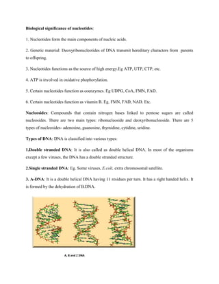 Biological significance of nucleotides:
1. Nucleotides form the main components of nucleic acids.
2. Genetic material: Deoxyribonucleotides of DNA transmit hereditary characters from parents
to offspring.
3. Nucleotides functions as the source of high energy.Eg ATP, UTP, CTP, etc.
4. ATP is involved in oxidative phophorylation.
5. Certain nucleotides function as coenzymes. Eg UDPG, CoA, FMN, FAD.
6. Certain nucleotides function as vitamin B. Eg. FMN, FAD, NAD. Etc.
Nucleosides: Compounds that contain nitrogen bases linked to pentose sugars are called
nucleosides. There are two main types: ribonucleoside and deoxyribonucleoside. There are 5
types of nucleosides- adenosine, guanosine, thymidine, cytidine, uridine.
Types of DNA: DNA is classified into various types:
1.Double stranded DNA: It is also called as double helical DNA. In most of the organisms
except a few viruses, the DNA has a double stranded structure.
2.Single stranded DNA: Eg. Some viruses, E.coli, extra chromosomal satellite.
3. A-DNA: It is a double helical DNA having 11 residues per turn. It has a right handed helix. It
is formed by the dehydration of B.DNA.
A, B and Z DNA
 