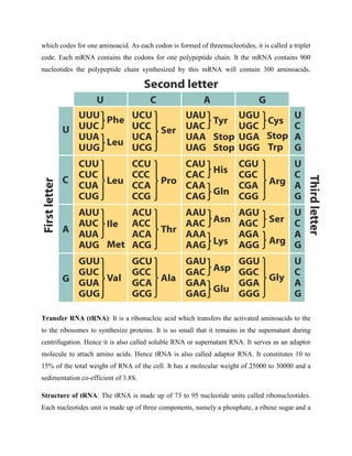 which codes for one aminoacid. As each codon is formed of threenucleotides, it is called a triplet
code. Each mRNA contains the codons for one polypeptide chain. It the mRNA contains 900
nucleotides the polypeptide chain synthesized by this mRNA will contain 300 aminoacids.
Transfer RNA (tRNA): It is a ribonucleic acid which transfers the activated aminoacids to the
to the ribosomes to synthesize proteins. It is so small that it remains in the supernatant during
centrifugation. Hence it is also called soluble RNA or supernatant RNA. It serves as an adaptor
molecule to attach amino acids. Hence tRNA is also called adaptor RNA. It constitutes 10 to
15% of the total weight of RNA of the cell. It has a molecular weight of 25000 to 30000 and a
sedimentation co-efficient of 3.8S.
Structure of tRNA: The tRNA is made up of 73 to 95 nucleotide units called ribonucleotides.
Each nucleotides unit is made up of three components, namely a phosphate, a ribose sugar and a
 