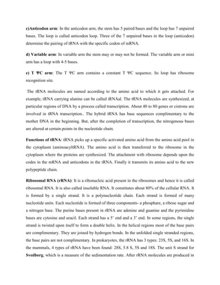c)Anticodon arm: In the anticodon arm, the stem has 5 paired bases and the loop has 7 unpaired
bases. The loop is called anticodon loop. Three of the 7 unpaired bases in the loop (anticodon)
determine the pairing of tRNA with the specific codon of mRNA.
d) Variable arm: In variable arm the stem may or may not be formed. The variable arm or mini
arm has a loop with 4-5 bases.
e) T ΨC arm: The T ΨC arm contains a constant T ΨC sequence. Its loop has ribosome
recognition site.
The tRNA molecules are named according to the amino acid to which it gets attached. For
example, tRNA carrying alanine can be called tRNAal. The tRNA molecules are synthesized, at
particular regions of DNA by a process called transcription. About 40 to 80 genes or cistrons are
involved in tRNA transcription.. The hybrid tRNA has base sequences complimentary to the
mother DNA in the beginning. But, after the completion of transcription, the nitrogenous bases
are altered at certain points in the nucleotide chain.
Functions of tRNA: tRNA picks up a specific activated amino acid from the amino acid pool in
the cytoplasm (aminoacyltRNA). The amino acid is then transferred to the ribosome in the
cytoplasm where the proteins are synthesized. The attachment with ribosome depends upon the
codes in the mRNA and anticodons in the tRNA. Finally it transmits its amino acid to the new
polypeptide chain.
Ribosomal RNA (rRNA): It is a ribonucleic acid present in the ribosomes and hence it is called
ribosomal RNA. It is also called insoluble RNA. It constitutes about 80% of the cellular RNA. It
is formed by a single strand. It is a polynucleotide chain. Each strand is formed of many
nucleotide units. Each nucleotide is formed of three components- a phosphare, a ribose sugar and
a nitrogen base. The purine bases present in rRNA are adenine and guanine and the pyrimidine
bases are cytosine and uracil. Each strand has a 5’ end and a 3’ end. In some regions, the single
strand is twisted upon itself to form a double helix. In the helical regions most of the base pairs
are complimentary. They are joined by hydrogen bonds. In the unfolded single stranded regions,
the base pairs are not complimentary. In prokaryotes, the rRNA has 3 types: 23S, 5S, and 16S. In
the mammals, 4 types of rRNA have been found: 28S, 5.8 S, 5S and 18S. The unit S strand for
Svedberg, which is a measure of the sedimentation rate. After rRNA molecules are produced in
 