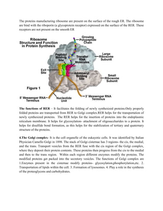 The proteins manufacturing ribosome are present on the surface of the rough ER. The ribosome
are bind with the riboporin (a glycoprotein receptor) expressed on the surface of the RER. These
receptors are not present on the smooth ER
The functions of RER – It facilitates the folding of newly synthesized proteins.Only properly
folded proteins are transported from RER to Golgi complex.RER helps for the transportation of
newly synthesized proteins. The RER helps for the insertion of proteins into the endoplasmic
reticulum membrane. It helps for glycosylation- attachment of oligosaccharides to a protein. It
helps for disulfide bond formation, as this helps for the stabilization of tertiary and quaternary
structure of the proteins.
4.The Golgi complex- It is the cell organelle of the eukayotic cells. It was identified by Italian
Physician Camello Golgi in 1898. The stack of Golgi cisternae has 3 regions- the cis, the medial,
and the trans. Transport vesicles from the RER fuse with the cis region of the Golgi complex,
where they deposit their protein contents. These proteins then progress from the cis to the medial
and then to the trans region. Within each region different enzymes modify the proteins. The
modified proteins get packed into the secretory vesicles. The functions of Golgi complex are
1.Enzymes present in the cisternae modify proteins- glycosylation,phosphorylation,etc. 2.
Transportation of lipids within the cell. 3. Formation of lysosomes. 4. Play a role in the synthesis
of the proteoglycons and carbohydrates.
 