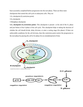 been accurately completed before progression into the next phase. There are three main
checkpoints that control the cell cycle in eukaryotic cells. They are
1.G1 checkpoint (G1restriction point)
2.G2 checkpoint
3.Metaphase checkpoint.
1.G1 checkpoint (G1restriction point): This checkpoint is present at the end of the G1 phase
and just before of the S phase of the cell cycle. This checkpoint helps in taking the decision of
whether the cell should divide, delay division, or enter a resting stage (Go phase). If there are
unfavorable conditions for the cell division, then this restriction point restrict the progression to
the next phase by passing the cell to Go phase for an extended period of time.
 
