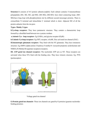 Structure-It consists of 4-5 protein subunits.(ααβγδ). Each subunit contains 4 transmembrane
polypeptides (M1, M2, M3, and M4). (M1-M2), (M2-M3)- have short connecting loops. (M3-
M4)-have long loop with phosphorylation site by different second messenger proteins. There is
extracellular N terminal and intracellular C terminal which is short. Adjacent M2 of all the
protein subunits form the ion pore.
Types- Mainly 3 types
I.Cys-loop receptors: They have pentameric structure. They contain a characteristic loop
formed by a disulfide bond between two cysteine residues
a.Anionic Cys - loop receptors- Eg GABAA and glycine receptor (GlyR).
b.Cationic Cys-loop receptors- Eg-5HT3 receptor, nAchR, Zinc activated ion channel (ZAC).
II.Iononotropic glutamate receptors- They bind with the NT glutamate. They have tetrameric
structure. Eg.AMPA (alpha-amino-3-hydroxy-5-methyl-4- isoxazole-propionic acid).Kainate and
NMDA (N-Methyl-D-aspartate receptors) receptors.
III. ATP gated ion channel receptors: The nucleotide ATP acts as NT. These receptors are
activated when these NTs bind with the binding sites. They have trimeric structure. Eg- PTX
(purinoceptor).
Voltage gated ion channel
G-Protein gated ion channels- These ion channels are gated by G proteins (guanine nucleotide-
binding proteins).
 