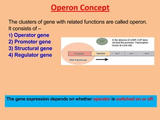 Molecular basis of Inheritance. | PDF