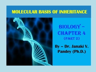 •
MOLECULAR BASIS OF INHERITANCE
Biology –
Chapter 4
(part 2)
By – Dr. Janaki V.
Pandey (Ph.D.)
 