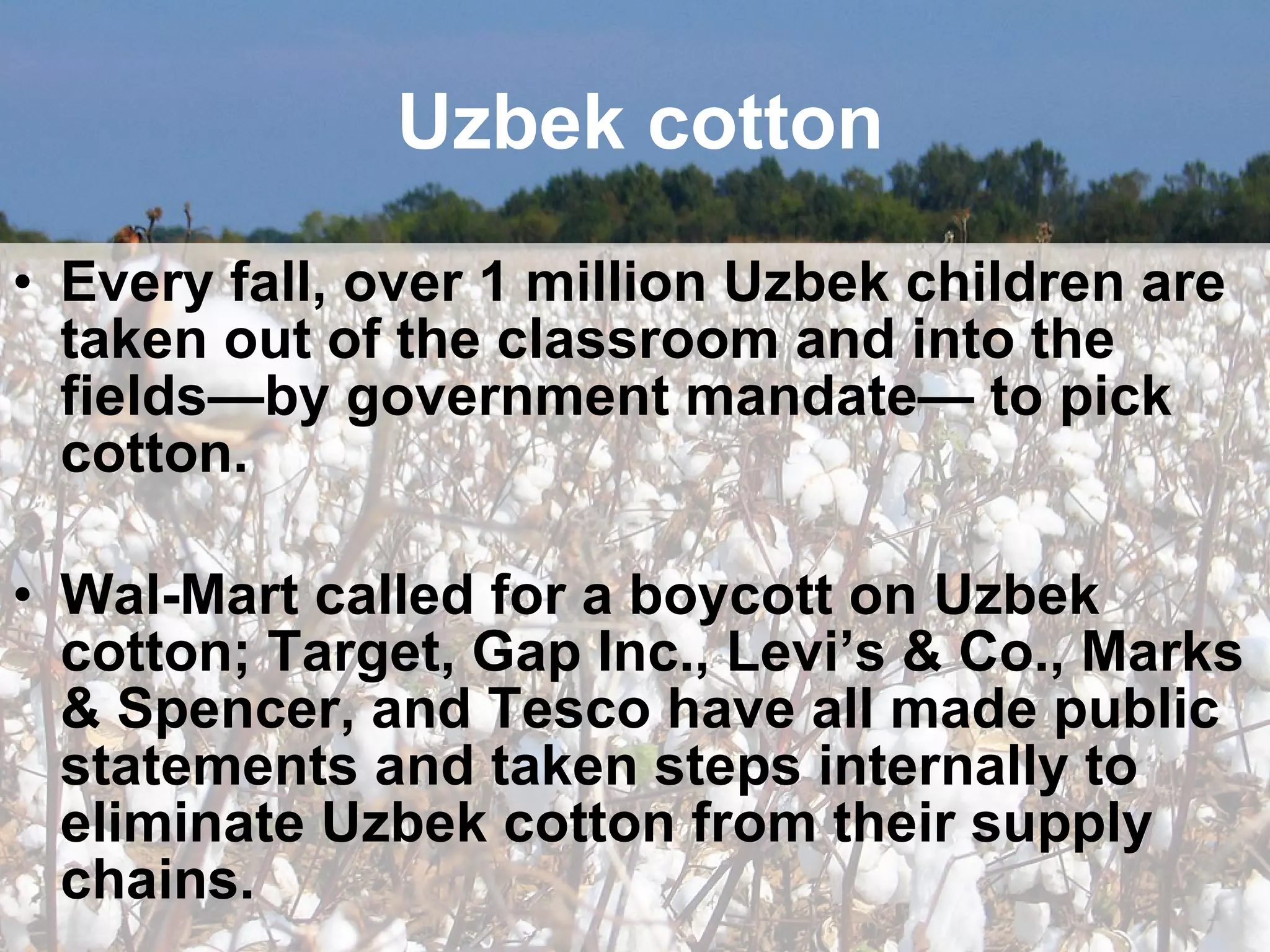 Uzbek cotton Every fall, over 1 million Uzbek children are taken out of the classroom and into the fields—by government mandate— to pick cotton. Wal-Mart called for a boycott on Uzbek cotton; Target, Gap Inc., Levi’s & Co., Marks & Spencer, and Tesco have all made public statements and taken steps internally to eliminate Uzbek cotton from their supply chains. 
