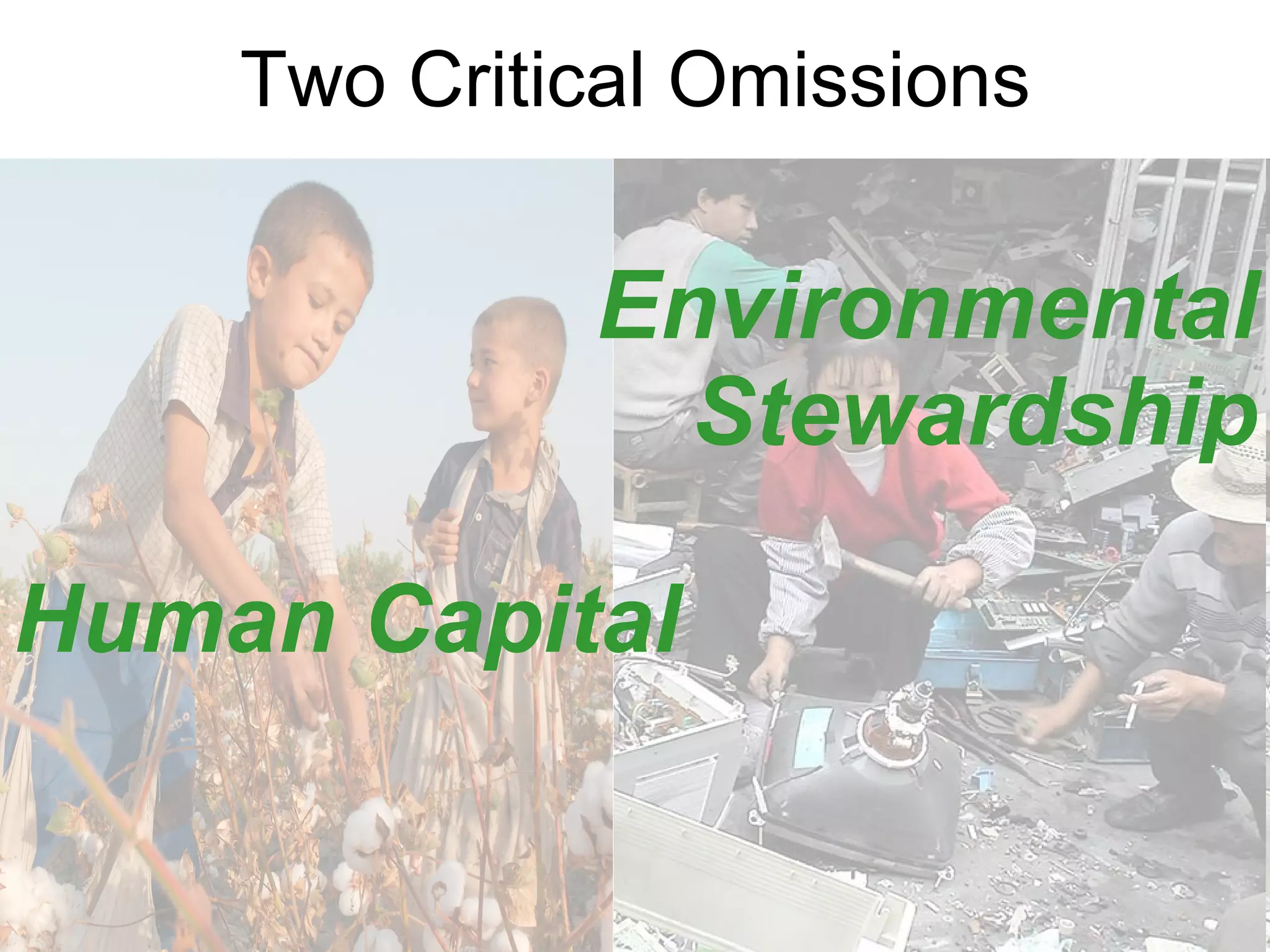 Two Critical Omissions Environmental Stewardship Human Capital 