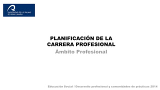 PLANIFICACIÓN DE LA 
CARRERA PROFESIONAL 
Ámbito Profesional 
Educación Social / Desarrollo profesional y comunidades de prácticas 2014 
 