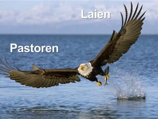 Laien

Pastoren
 