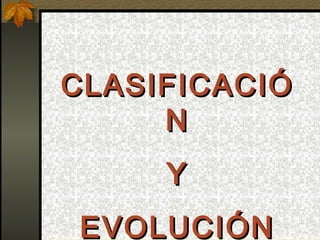 CLASIFICACIÓCLASIFICACIÓ
NN
YY
EVOLUCIÓNEVOLUCIÓN
 