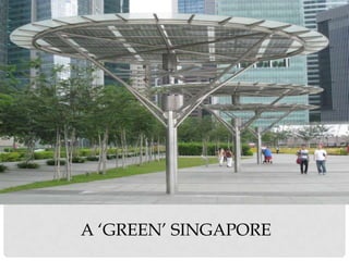 A ‘GREEN’ SINGAPORE
 