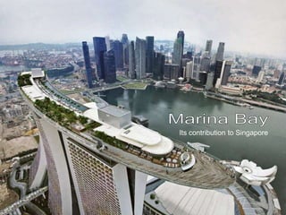 Its contribution to Singapore
 