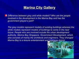 Marina City Gallery

Difference between grey and white models? Who are the people
involved in the development in the Marina Bay and has the
government played a part?

The grey models represent models of existing buildings whereas the
white models represent models of buildings to come in the near
future. People who are involved include the urban development
authority, Marina Bay Singapore, Government Development, which
also consists of mainly the architects and engineers. They changed
Marina Bay to a leisure entertainment and business district.
 