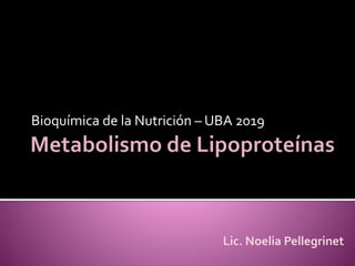 Bioquímica de la Nutrición – UBA 2019
Lic. Noelia Pellegrinet
 
