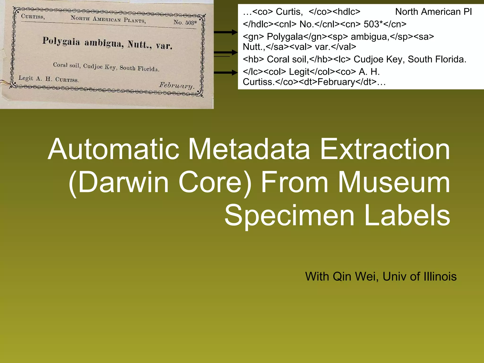 Automatic Metadata Extraction (Darwin Core) From Museum Specimen Labels … <co> Curtis,  </co><hdlc>  North American Pl </hdlc><cnl> No.</cnl><cn> 503*</cn> <gn> Polygala</gn><sp> ambigua,</sp><sa> Nutt.,</sa><val> var.</val> <hb> Coral soil,</hb><lc> Cudjoe Key, South Florida. </lc><col> Legit</col><co> A. H. Curtiss.</co><dt>February</dt>… With Qin Wei, Univ of Illinois 