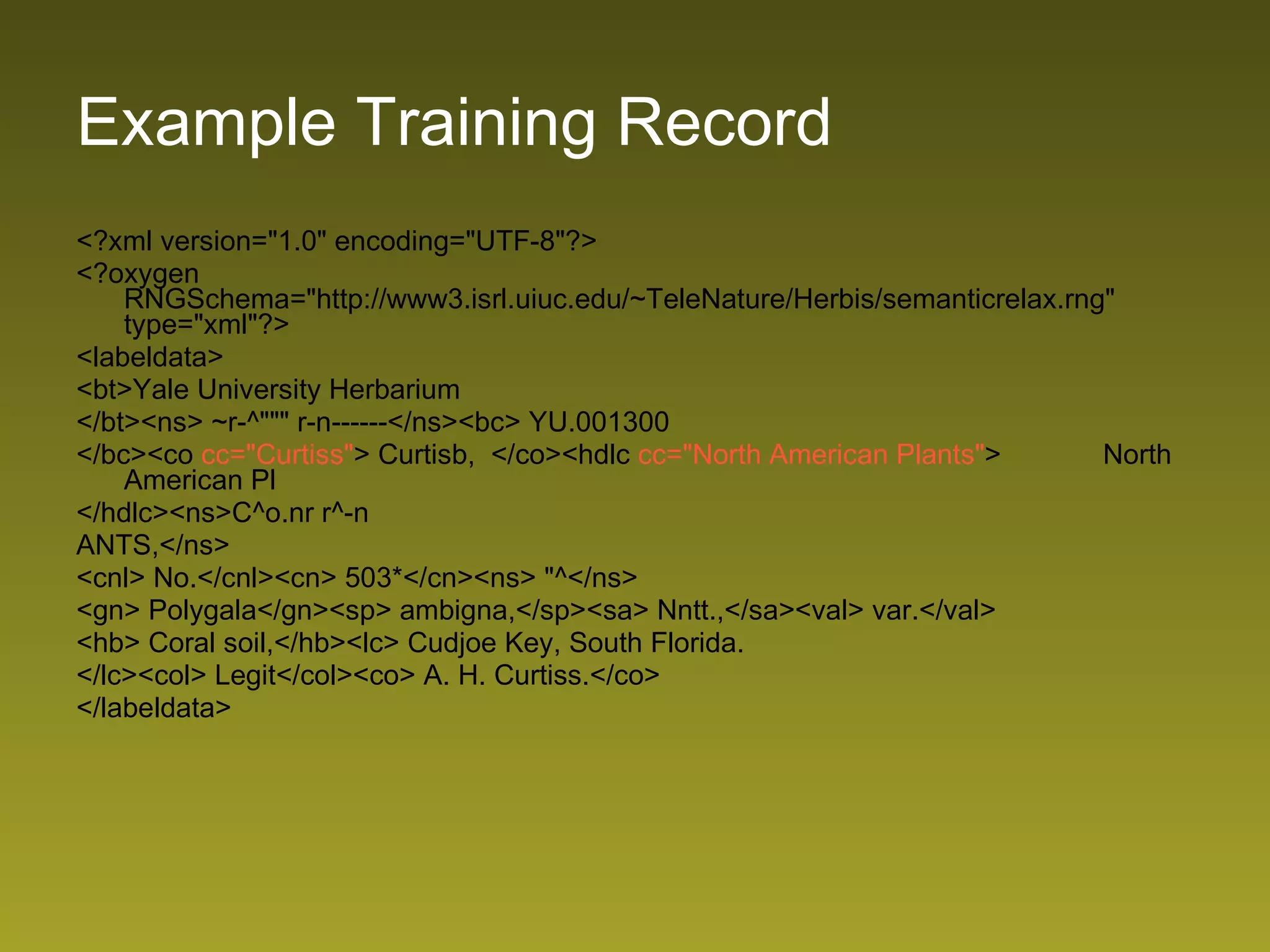 Example Training Record <?xml version=&quot;1.0&quot; encoding=&quot;UTF-8&quot;?> <?oxygen RNGSchema=&quot;http://www3.isrl.uiuc.edu/~TeleNature/Herbis/semanticrelax.rng&quot; type=&quot;xml&quot;?> <labeldata> <bt>Yale University Herbarium </bt><ns> ~r-^&quot;&quot;&quot; r-n------</ns><bc> YU.001300 </bc><co  cc=&quot;Curtiss&quot; > Curtisb,  </co><hdlc  cc=&quot;North American Plants&quot; >  North American Pl </hdlc><ns>C^o.nr r^-n ANTS,</ns> <cnl> No.</cnl><cn> 503*</cn><ns> &quot;^</ns> <gn> Polygala</gn><sp> ambigna,</sp><sa> Nntt.,</sa><val> var.</val> <hb> Coral soil,</hb><lc> Cudjoe Key, South Florida. </lc><col> Legit</col><co> A. H. Curtiss.</co> </labeldata> 