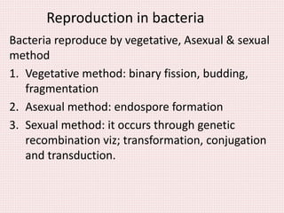 Asexual Reproduction In Bacteria